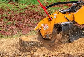 Best Lawn Watering Services  in Pocono Springs, PA